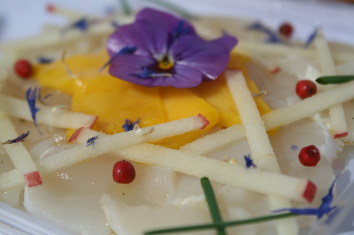 Carpaccio saint jacques
