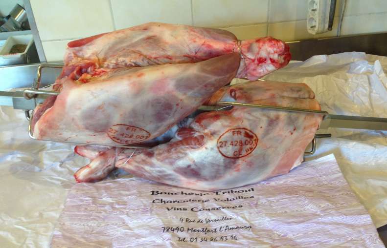 Culotte agneau triboul