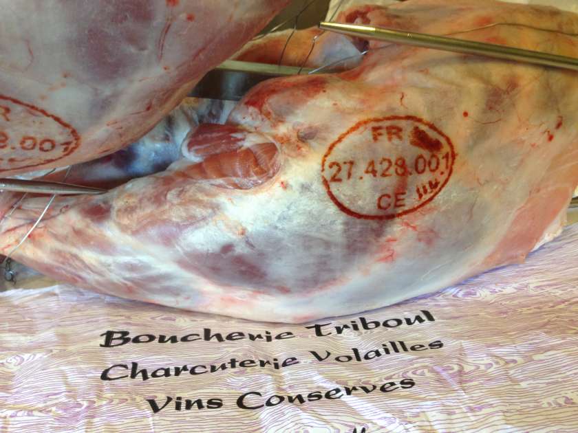 Culotte agneau