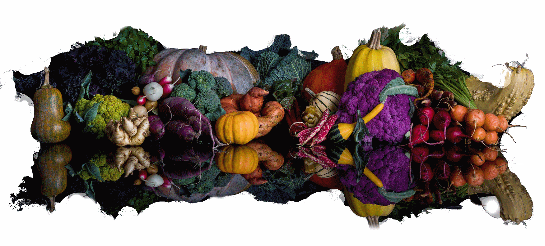 Plateaux repas Automne