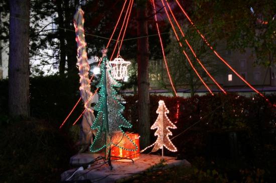 sapin-de-noel1.jpg